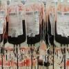 Cara Mudah Registrasi Aplikasi Hemofilia Indonesia