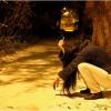 Level Up Your Strength, 5 Tips Bakar Kalori dan Lihat Sendiri Hasilnya