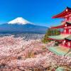 5 Pasar Terkenal di Jepang buat Referensi Liburan Kamu