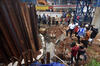 BMKG: Bolaang Mongondow Utara diguncang gempa