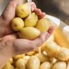 Lakukan Cara Ini Supaya Bahan Makanan Mentah Tahan Lama & Higienis