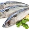 Bukan Cuma Mewah, 5 Manfaat dari Caviar yang Baik untuk Kesehatan