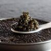 Berdaun Kecil, Ternyata 6 Manfaat Besar Ini Ada di Daun Kelor Lho!