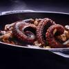 5 Menu Philly, Roti Lapis Bistik yang Bikin Ketagihan!