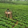 5 Hal Seru yang Bisa Kamu Lakukan di Ubud, Gak Cuma Foto Sawah