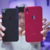 Hai Pencinta Kucing! 5 Channel YouTube yang Wajib Kamu Tonton