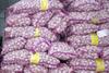 Ini Daerah yang Harga Bawang Putihnya Lebih Tinggi