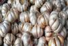 Ini Daerah yang Harga Bawang Putihnya Lebih Tinggi