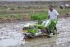 Transplanter Jadi Andalan Ditjen PSP Tingkatkan Produksi Pertanian