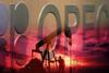 Harga Minyak Dunia Merosot di Tengah Harapan OPEC Isi Kekurangan Pasokan