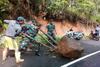 Longsor dan Pohon Tumbang, Ruas Jalan Manado-Rumengkor Lumpuh