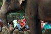 Libur May Day, 35.121 Pengunjung Padati Kebun Binatang Ragunan