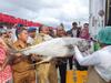 Tolak Lelang Kapal Asing Pencuri Ikan, Menteri Susi Pilih Tenggelamkan