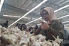 Bawang Putih Impor Busuk Dijual Bebas di Pasar Modern di Tangsel