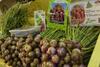 Tingkat Daya Saing Produk Hortikultura Lewat Penyusunan Doksistu
