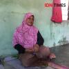 Sah, Jokowi-Ma'ruf Kuasai DIY, Lampaui Perolehan di 2014