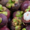 5 Makanan Ini Akan Memenuhi Kebutuhan Kalsium Ketika Puasa