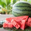 5 Makanan Ini Akan Memenuhi Kebutuhan Kalsium Ketika Puasa