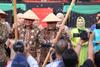 Musnahkan Sampah Organik, DLH Muba Kembang Biak Lalat Tentara Hitam (BSF)