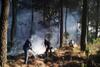 Ini Trik Tim Gabungan untuk Kurangi Area yang Terbakar di TNGC