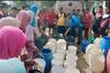 Ketika Ibu-Ibu Persit di Gorontalo Ikut Panen Padi