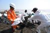 Pengusahaan Jalan Tol Semarang-Demak Diteken September