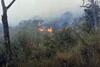 Kebakaran Gunung Ciremai Meluas, BPBD Bakal Turunkan Heli Water Bombing