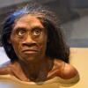 Spesies Manusia Purba Baru, 9 Fakta Menarik Homo Iuzonensis