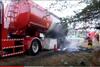 Warga Buton Tangkap Buaya Sepanjang Empat Meter di Atas Bukit