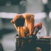7 Step Buat Dandanan Natural Look ke Kampus