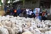 ACT DIY Potong 95 Kambing Kurban di Kulonprogo