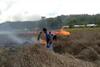 Ratusan Rumah di Konawe Nyaris Terbakar Akibat Kebakaran Lahan Gambut
