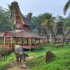 10 Hotel Murah di Bogor, Pilihan Staycation Asyik Saat Liburan