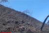 Sudah 7 Hari, Api Masih Membara di Gunung Ciremai