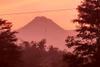 Status Waspada, Gunung Merapi Muntahkan Lava Pijar Sejauh 550 Meter