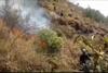Kebakaran Hutan dan Lahan di Gunung Batukaru Bali