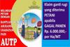 Alami Puso, Sejumlah Petani Jateng Mulai Ajukan Klaim Asuransi