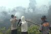 Tersangka Pembakar Hutan dan Lahan di Kalbar Bertambah Jadi 52 Orang