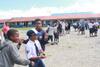 Aktivitas Sekolah di Wamena Fokus Pemulihan Trauma