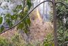 Hutan Lindung Egon Ilinmedo Kembali Terbakar