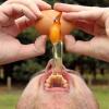 6 Bahaya Nyata Minum Terlalu Banyak Air bagi Tubuh, Jangan Berlebihan!