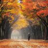 5 Pesona Air Terjun Terindah di Korea Selatan, Cocok Buat Hunting Foto
