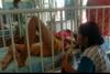 Dampak Terburuk Anak Alami Bullying hingga Kekerasan Fisik di Sekolah