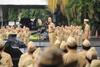 Kinerja Staf Khusus Milenial, Antara Tugas dan Kepentingan