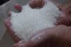 50.000 Ton Gula Asal India Siap Banjiri Indonesia