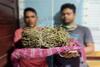 Bawa 2 Kg Ganja Kering Siap Edar, 2 Orang Warga Pidie Jaya Diringkus Polisi