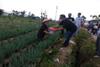 BOR Ruang Isolasi COVID-19 RSUD Salatiga Turun, Hari Ini Capai 65 Persen