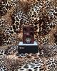 Dolamo Vintage Distortion Fuzz Pedal Based on ProCo RAT