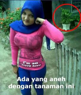 Praktek Fokus Pada &quot;Lingkaran Merah&quot;...