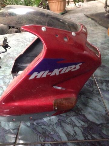 WTS Fairing Serpico